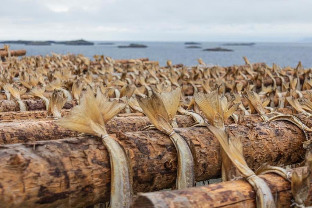 Lofoten Holiday Kabelvåg Εξωτερικό φωτογραφία