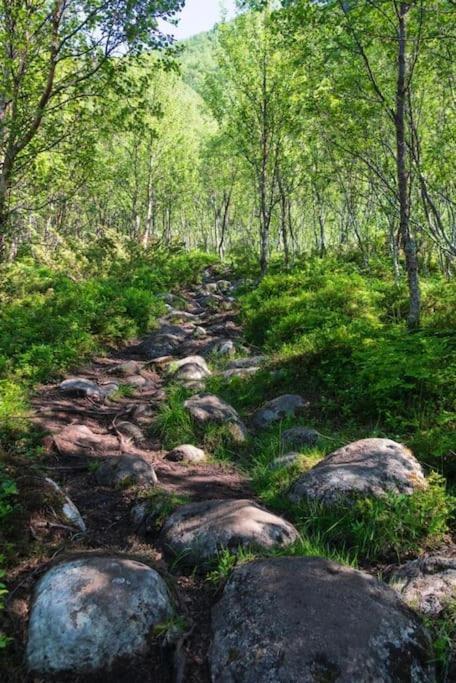 Lofoten Holiday Kabelvåg Εξωτερικό φωτογραφία